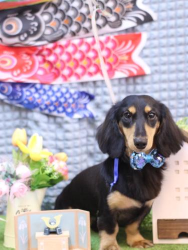 20230518おうたくん